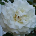 Chase Whitmore - @chase_whitmore05 - Instagram
