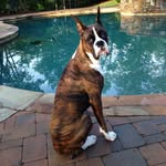 Chase Whitney 🐾 - @chasetovictory - Instagram