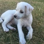 Zander Chase Winningham - @zaaanderboi_ - Instagram