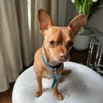 Chase - @chase_r_winston - Instagram
