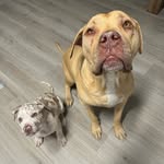 Chase & Winter - @chaseandwinter_ - Instagram