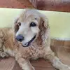 Chase Winter - @chase.winter7 - TikTok