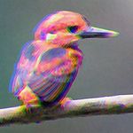 Chase Wiseman - @chasewiseman_ - Instagram