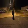 chason._s2 - @chason.smith - TikTok