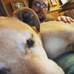 Chaz Anthony Scovel - @chazascovel - Instagram
