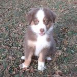 Chas Carney - @dellax4 - Instagram