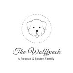 Charlie & Indigo Wolff + our foster fam - @wolffpack20 - Instagram