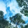 Charlie Kempton - @chazkemp - TikTok