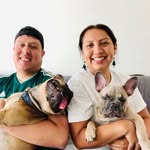 Winston + Charlie - @winstonandcharliebros - Instagram