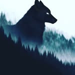 Adam - @chegolden2 - Instagram