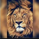 checorleone - @che_golden - Instagram