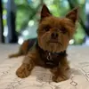 Cheryl Golden - @chergolden - TikTok