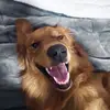 Chetthegolden - @mr.chetman - TikTok