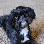 Chelee and Charlee - @cheleeandcharlee - Instagram