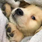 Srinivas Naidu - @chesmitha5409 - Instagram
