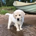 Che Wilson - Facebook