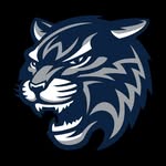 Wilsonville Cheer - @wilsonvillecheerleading - Instagram