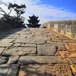 Foo Chee Fong - @cheefongf - Instagram