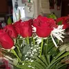 Chee Thao - @chee.thao5 - TikTok