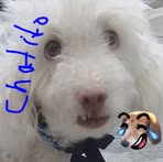 Manuel Chef Gonzalez - Facebook