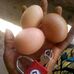 Cheick camara - Facebook