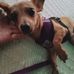 Chel White - Facebook