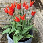 Helen Beadle - @funky_octopus_mother - Instagram