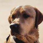 Chell Smith - @mrschellywelly - Instagram