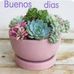 Chelo Casillas Sanchez - Facebook