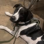 Chelsea Bender James - @cbj1207 - Instagram