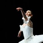 Chelsea Roach - @chelsea_roach247 - Instagram