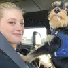 chelsey bailey - @chelesybailey388 - TikTok