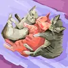 Chelsey Olson - @chelsey.olson01 - TikTok