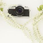 Chelsey Walker - @chelseywalkerphotography - Instagram