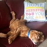 Chelsea Matthews Pratt - @chelsea_pratt - Instagram