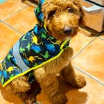 Chelsie Pratt Winiger - @the_doodle_named_kevin - Instagram