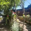 CHENTE GARCIA - @chente.garcia1 - TikTok