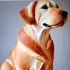 lim chen - @lim.chen53 - TikTok