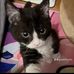 Chen Ni - Facebook