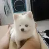 Viechenni_2412 - @chenni241220 - TikTok