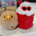 Chen Xing Chen - Facebook