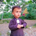 Shafiq Khan Chenar - @khanchenar - Instagram