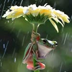 Cheng-huiHan - @chenghuihan - Instagram