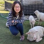 Cheng Cheng Lim - @chenglimcheng - Instagram