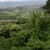 Cheng Lim - @cheng.lim23 - TikTok