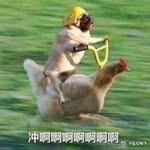 Jingcheng pan - @cheng_pan_ - Instagram