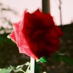 𝕮𝖍𝖊𝖓𝖌 𝕿𝖆𝖓𝖌 - @1025_tang - Instagram