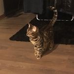 Chengyi Wang - @chengyi.wang.5876 - Instagram