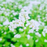 cheol lee - @skydavin27 - Instagram