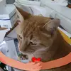 Cheri Carr - @cheri.carr - TikTok